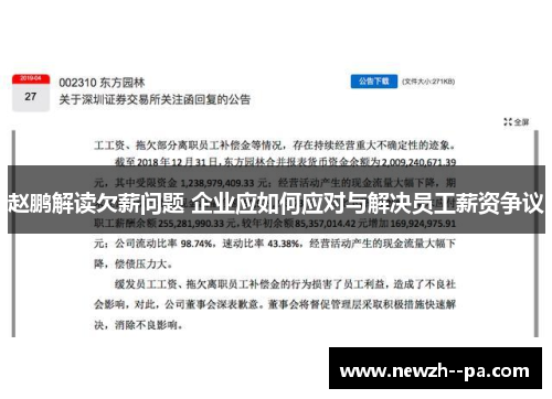 赵鹏解读欠薪问题 企业应如何应对与解决员工薪资争议